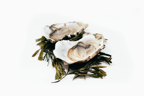 Fanny Bay Oysters