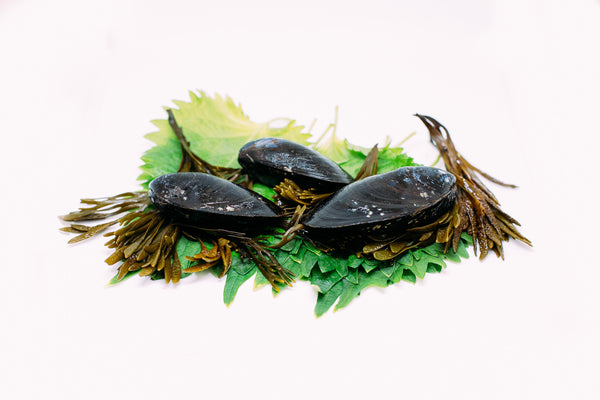 PEI Mussels